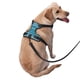 thumbnail image 2 of Balery Teal Turquoise Fluid Stripes Arnés para Perros Grandes Antitirones, Arnés con Correa para Gato, Arnés Tipo Chaleco para Perros Pequeños-X-Large, 2 of 6