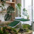 thumbnail image 1 of unbranded Plataforma De Con Ventosas Y Rampa Para Reptiles En Acuático, 1 of 7