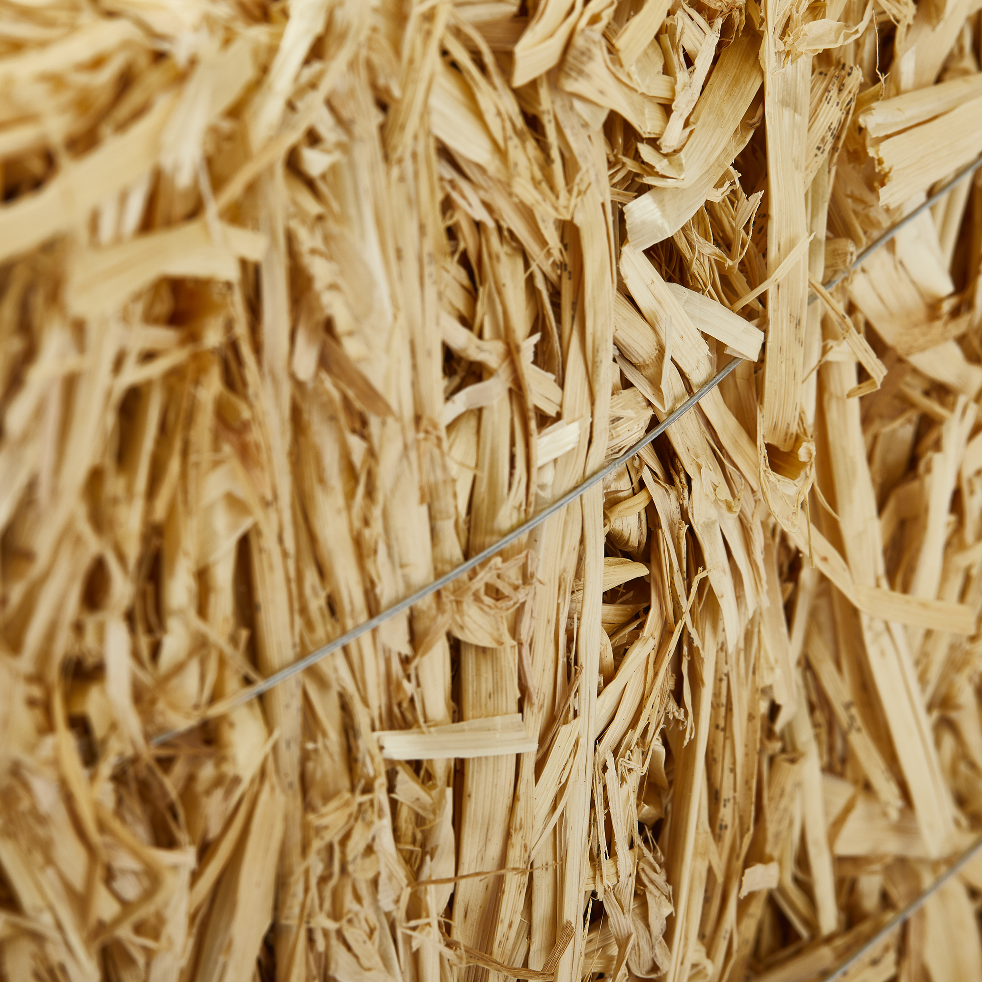 Way to Celebrate! 12 Piece Decorative Straw Bale 1 inch x 1.25 inch x 2.5 inch Natural Golden, Size: 2.5 inch