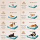 thumbnail image 5 of EHEYCIGA Camas ortopédicas para perros medianos, grandes, extra grandes, cama para perros XL de espuma viscoelástica impermeable con laterales, sofá cama de espuma con funda extraíble lavable, 5 of 5