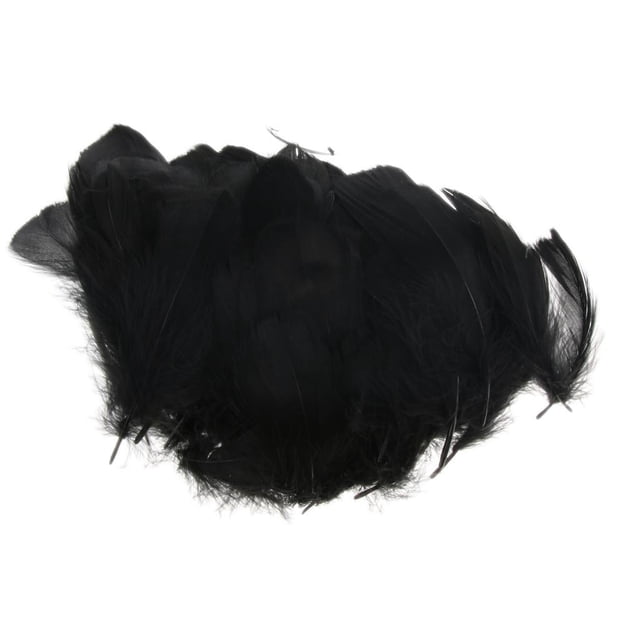 200 piezas de Plumas de bricolaje Hugo negro