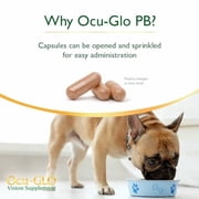 Ocu-GLO PB Vision Supplement for Medium & Large Dogs Easy to Administer Powder Blend with Lutein, Omega-3 Fatty Acids, Grape Seed Extract & Antioxidants to Promote Eye Health, 90ct Powder Capsules