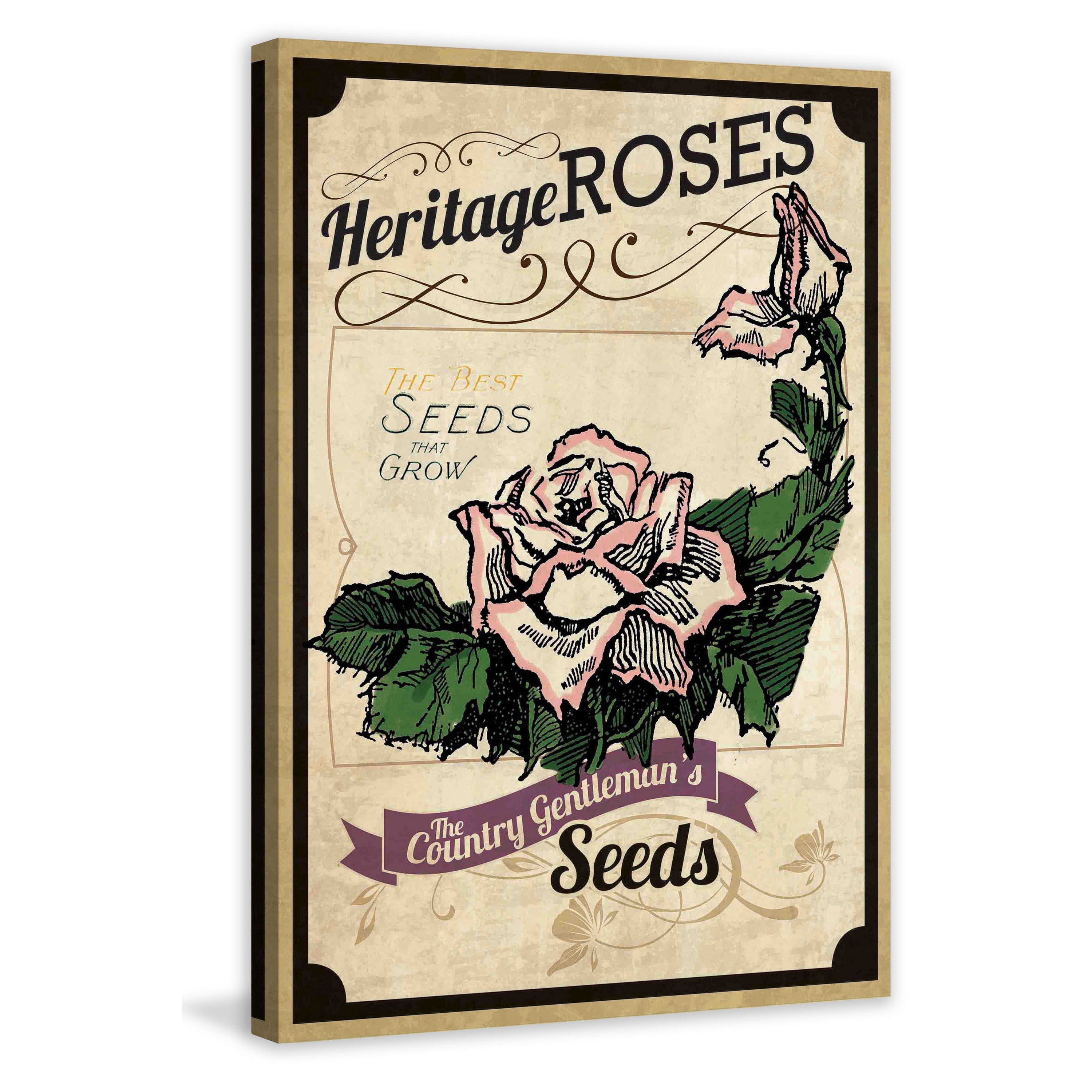 Marmont Hill "Flower Packet Roses" Painting Print on Canvas