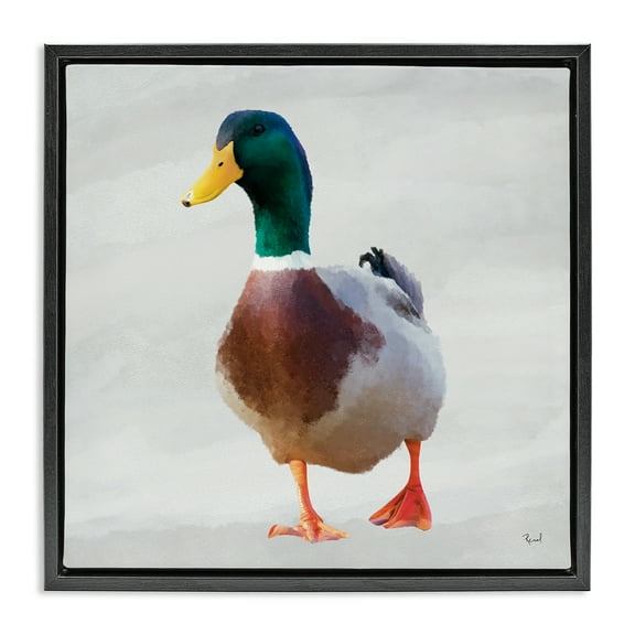 Stupell Industries Mallard Duck Squawking Black Framed Floater Canvas Wall Art design by Renel Peters, 18 x 18
