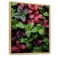 Designart "Vibrant Basil Herbs II" Floral Framed Wall Art Traditional