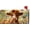 Highland Cow, variant on Sea Turtle Mailbox Cover Blue Mailbox Covers Summer Ocean Theme Pattern Standard Size 21 x 18 Inch Waterproof Polyester Letter Box Decoration for Garden Yard Home Buckle Design Non Magnetic