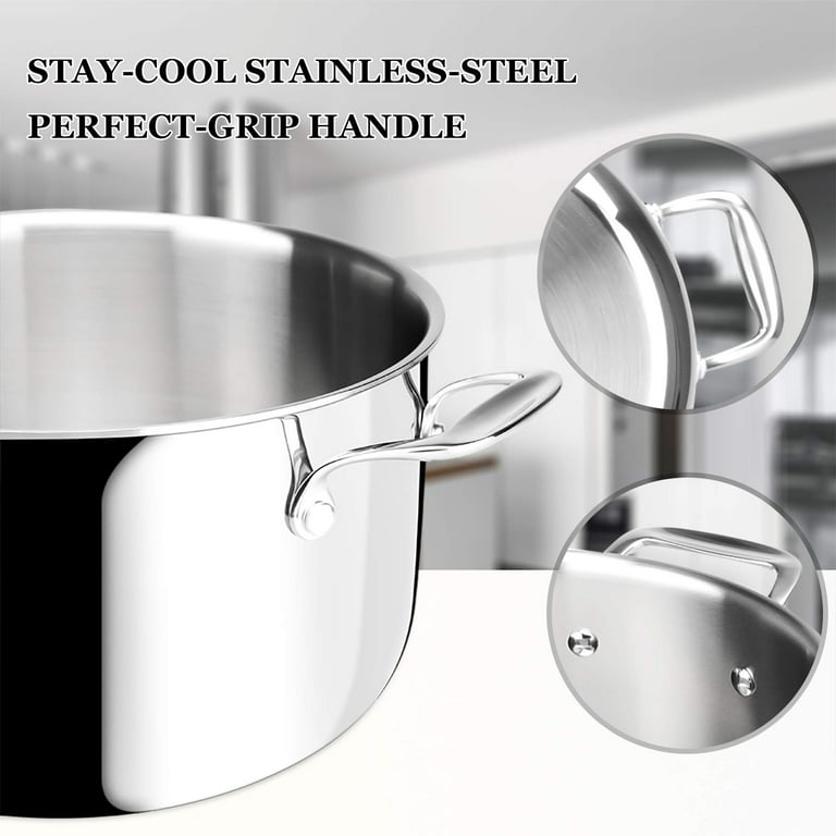 Duxtop Professional Stainless Steel Stock Pot with Glass Lid