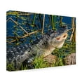 thumbnail image 4 of Robert Michaud 'Gator 2' Canvas Art, 4 of 4