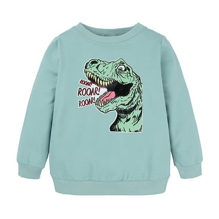 

REDARER Creative Cute Kids Clothes Little Boys Girls Kids Unisex Cartoon Animals Dinosaur Printed Sweatshirt Pullover Hoodie for Girls Boys Light Green 12-24 Months