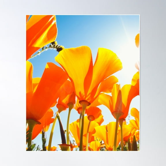 Yellow Flowers Poster Wall Art, Modern Wall Decor For Living Room Bedroom, 8x12 UNFRAMED
