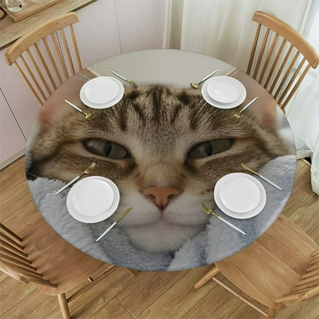 

Farmhouse Round Tablecloth Wood Texture Tablecloths Elastic Fitted Indoor Outdoor Round Table Cover Washable Reusable Tablecloths for Kitchen Picnic Party