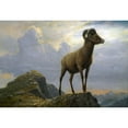 thumbnail image 3 of Bierstadt, Albert 18x14 Black Modern Framed Museum Art Print Titled - Study of a Bighorn Ram, 3 of 5