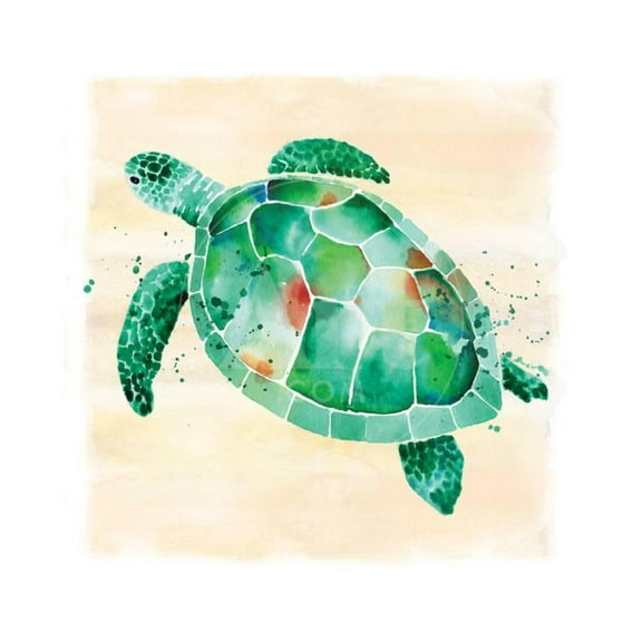 Sea Turtle, Animals Unframed Art Print Wall Art by Sara Berrenson Sold by Art.Com