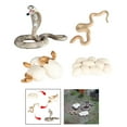 thumbnail image 3 of 3x animales de simulación modelo de ciclo de figuras de acción figurita regalo de bebé juguetes educativos para Baoblaze Juego de crecimiento para niños Cobra, 3 of 8