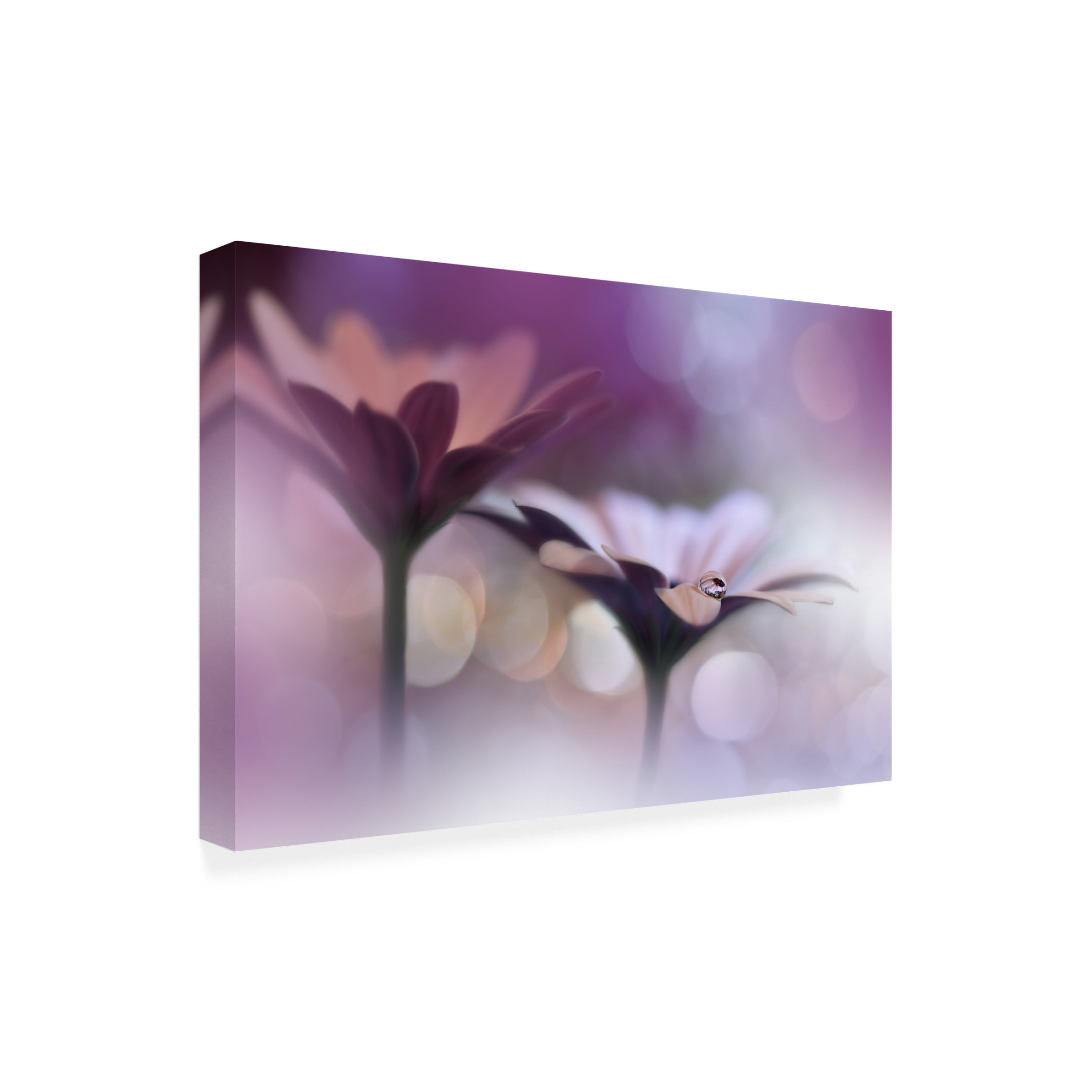 Canvas Wall Art - Juliana Nan 'Oo' Wall Art for Living Room, Bedroom, or Office D?cor by Trademark Fine Art - 24 x 16 Inches