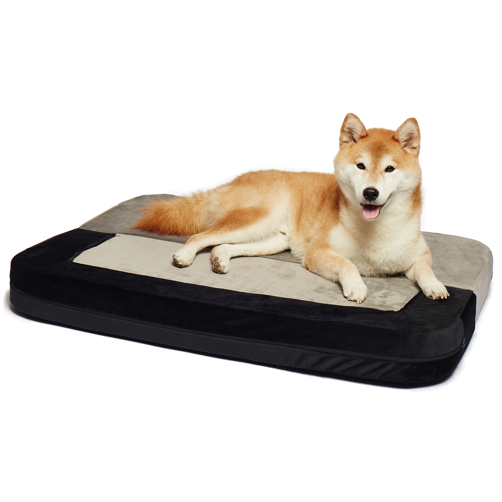 Precious Tails Orthopedic Foam Velvet Convertible Sofa Dog Bed