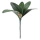 thumbnail image 5 of Hojas de Orquídeas Phalaenopsis Verdes Artificiales Arreglo de Plantas de Tacto Real para Decoración de Bonsái de Jardín de Flores ANGGREK  Otros, 5 of 8