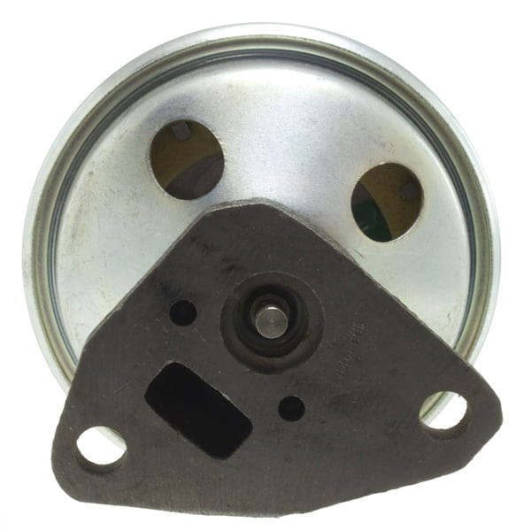 Exhaust Gas Recirculation (EGR) Valve