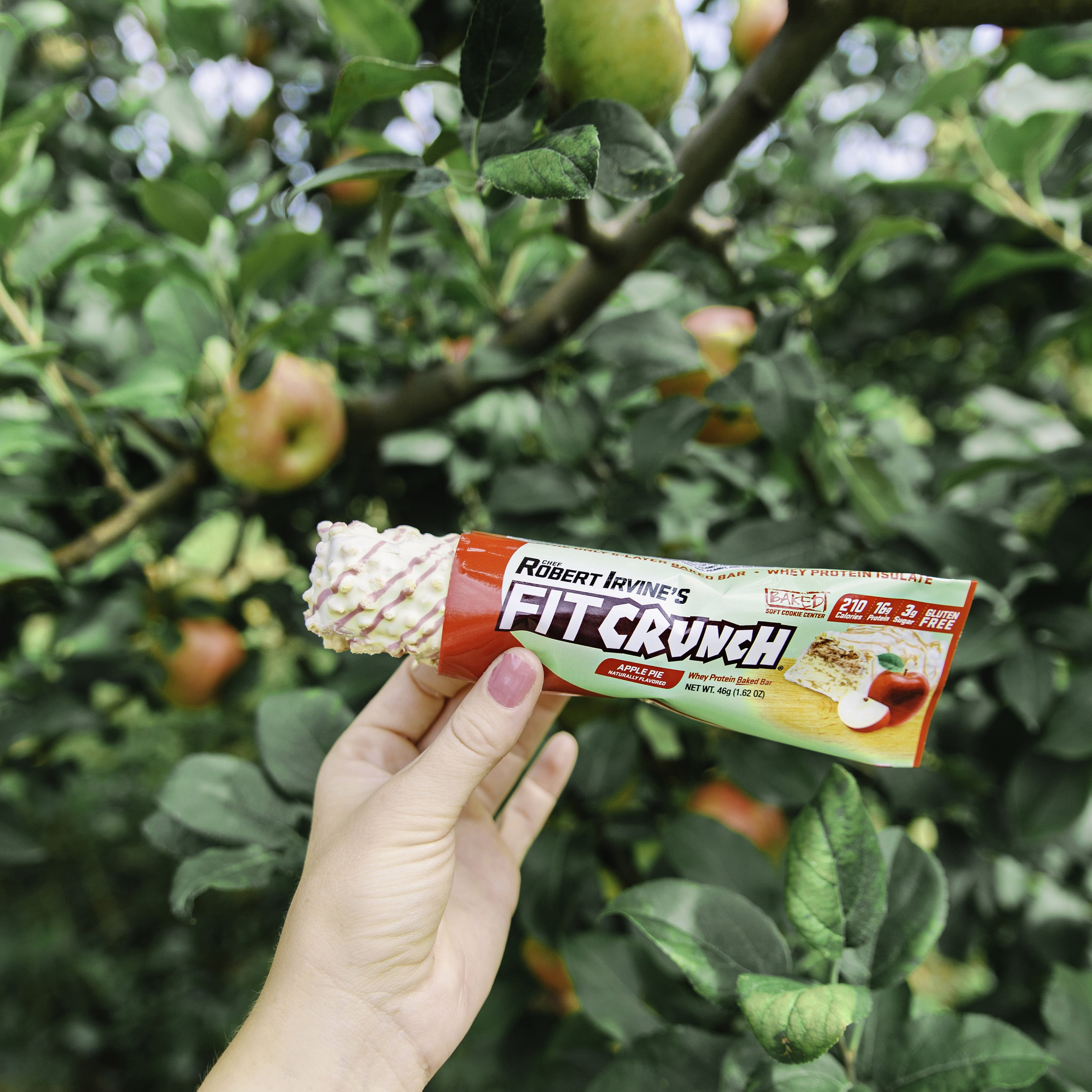 FITCRUNCH Snack Size Protein Bar, Apple Pie, 16g Protein, 9 ct.