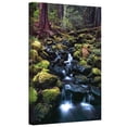 thumbnail image 2 of Dean Uhlinger "Rain Forest Morning" Gallery-Wrapped Canvas, 2 of 2