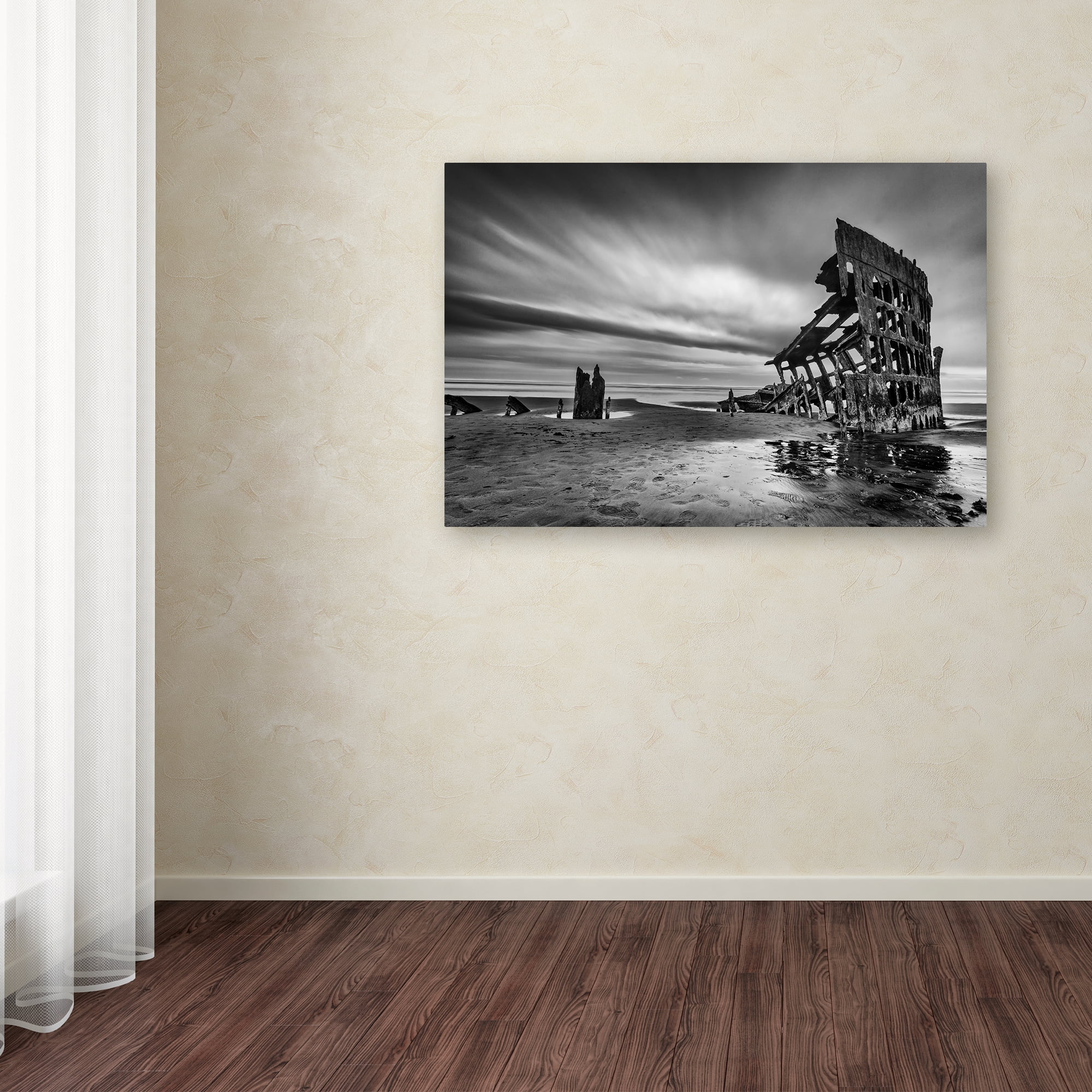 Trademark Fine Art 'The Wreck Of The Peter Iredale' Canvas Art by Lydia Jacobs