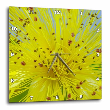 3drose, Flower of St. Johns Wort., 15x15 Wall Clock