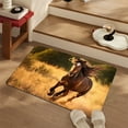 thumbnail image 4 of Fmbmuo Multicolor Entryway Rug Rectangle Horse Print Waterproof indoor/Outdoor Decorations, Absorbent Non-Slip Modern Floor Mats 16 x 24 inch, 4 of 5