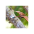 thumbnail image 5 of Safari Ltd. Quetzalcoatlus Figurine - Detailed 8.75" Wingspan Pterosaur Figure - Educational Toy for Boys, Girls, and Kids Ages 3+, 5 of 5