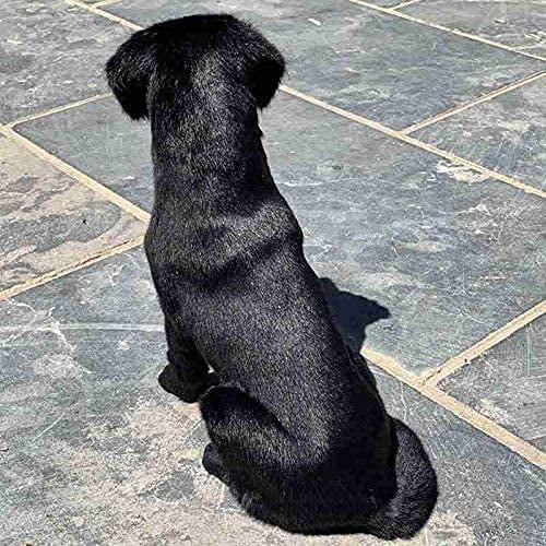 36cm Realistic Labrador Dog Plush Toys Simulation Beautiful