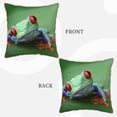 thumbnail image 3 of Fotbe Red-Eyed Tree Frog-1 Pattern Velvet Decorative Throw Pillow Covers with Elegant Piping, Soft Plush Cushion Cover for Sofa, Bed, Car, Office-20"x20", 3 of 8