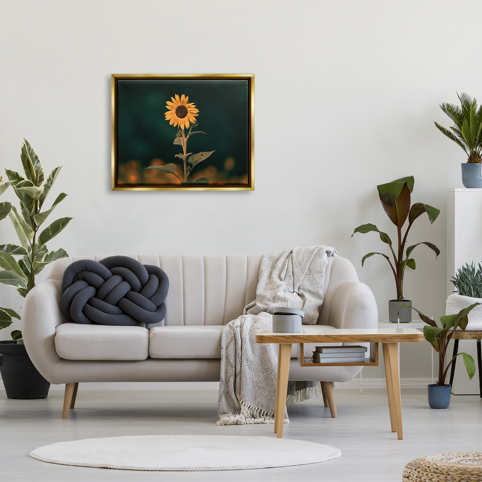 Stupell Industries Dark Sunflower Nature Botanical & Floral Photography Gold Floater Framed Canvas Art Print Wall Art, 31 x 25