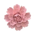 thumbnail image 1 of Matsuzay Flores de cerámica para colgar en la pared, manualidades pastorales para el hogar, adhesivo para el salón, TV, Hotel, tienda de Decoración del hogar Rosado Largo, 1 of 6