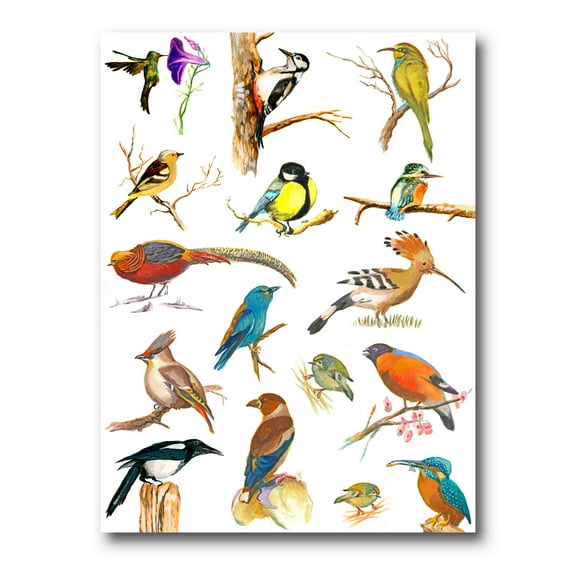 Designart ' Vital Colored Birds Plancard ' Traditional Canvas Wall Art Print