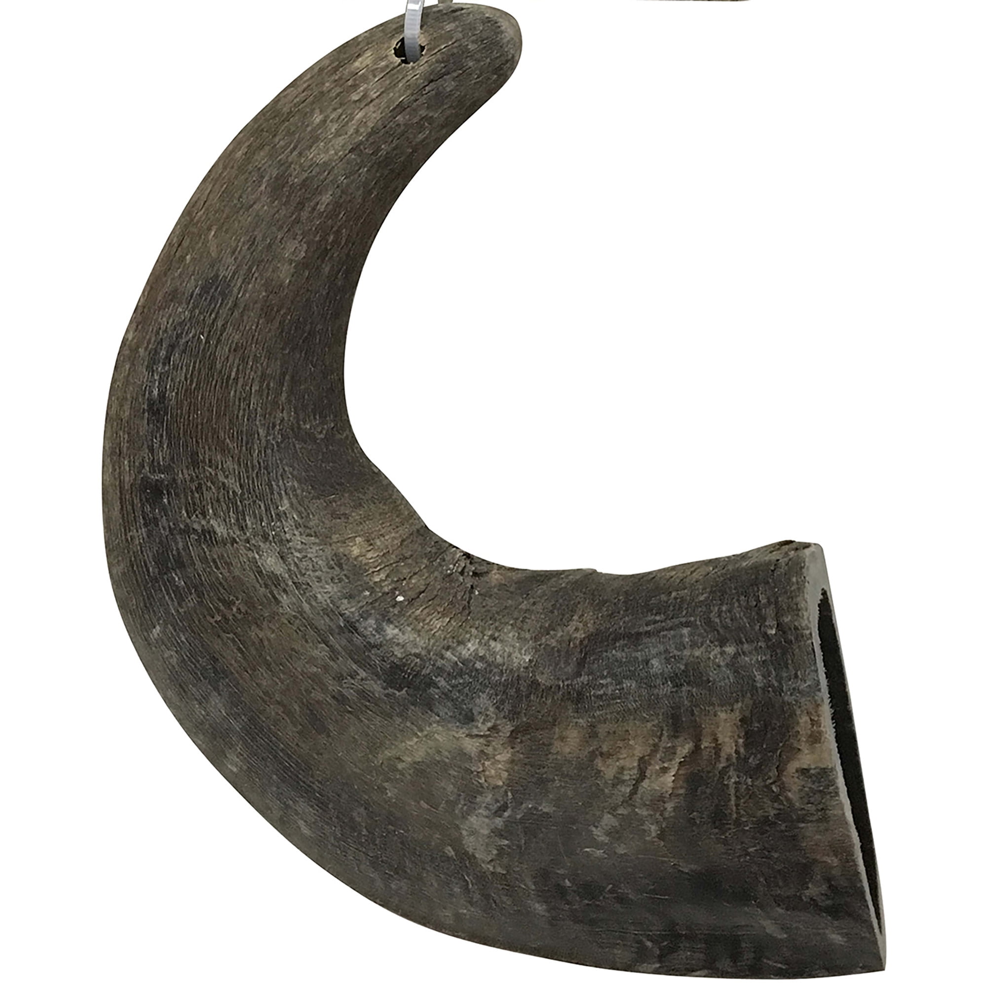 Mossy Oak: Water Buffalo Horn - Large - Dog Chew, Long Lasting Pet Treat, Natural & Preservative Free, Promotes Dental Health, Aggressive Chewers