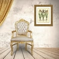 thumbnail image 3 of Besler, Basilius 12x14 Gold Ornate Wood Framed with Double Matting Museum Art Print Titled - Bulb Garden II, 3 of 4