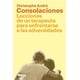 thumbnail image 1 of Libro Consolaciones. Lecciones De Un Terapeuta Para Enfrentarse A Las Adversidades Tapa Blanda, Autor Christophe Andre, Editorial Arpa Editores, 1 of 2