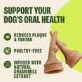 thumbnail image 5 of Wellness WHIMZEES Antler Occupy Natural Dog Dental Treat, Chews, Freshens Breath, Small Size, 12.7 oz Bag, 24 Count, 5 of 9