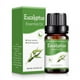 thumbnail image 1 of Aromatherapy Water Soluble Oil Aromatherapy Suitable For Humidifier 10ml, 1 of 4