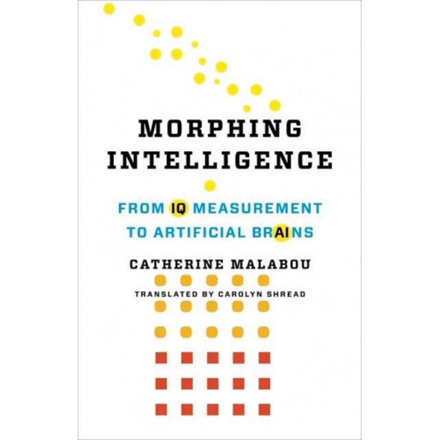 Morphing Intelligence: From IQ Measurement to Artificial Brains (The Wellek Library Lectures)