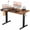 Brown, variant on Modern Motorized Rising Desk, 40"×24" Tabletop, Ergonomic Electric Height Adjustment, Ideal for Office Work and Gaming