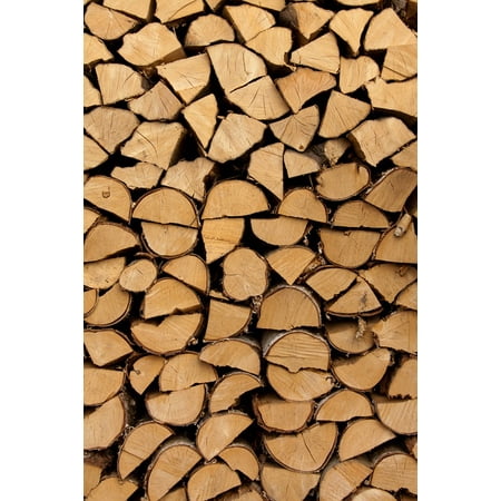 Canvas Print Firewood Abstract Background Log Energy Fuel Cut Stretched Canvas 10 x (Best Way To Cut Logs For Firewood)