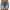 ZA-Navy, variant on Yourumao Women's Bermuda Shorts High Waisted Ripped Denim Shorts Rolled Hem Short Jeans Female Button Sexy Casual Shorts