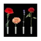 thumbnail image 5 of Tubos florales de plástico, tubos de agua de flores de 10 ml, tubos de flores reutilizables con tapas para decoración de flores, arreglos florales de 2,8 x 0,7 pulgadas, 90 unidades), 5 of 5