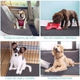 thumbnail image 2 of Almohadilla para Pisar Lavable para Perros, Absorbente Súper Rápido Reutilizable Impermeable Cómodo Cachorro Sin Perfume Gatos para Perros Orinal Almohadillas para Allanamiento para Uso Diario, 2 of 7