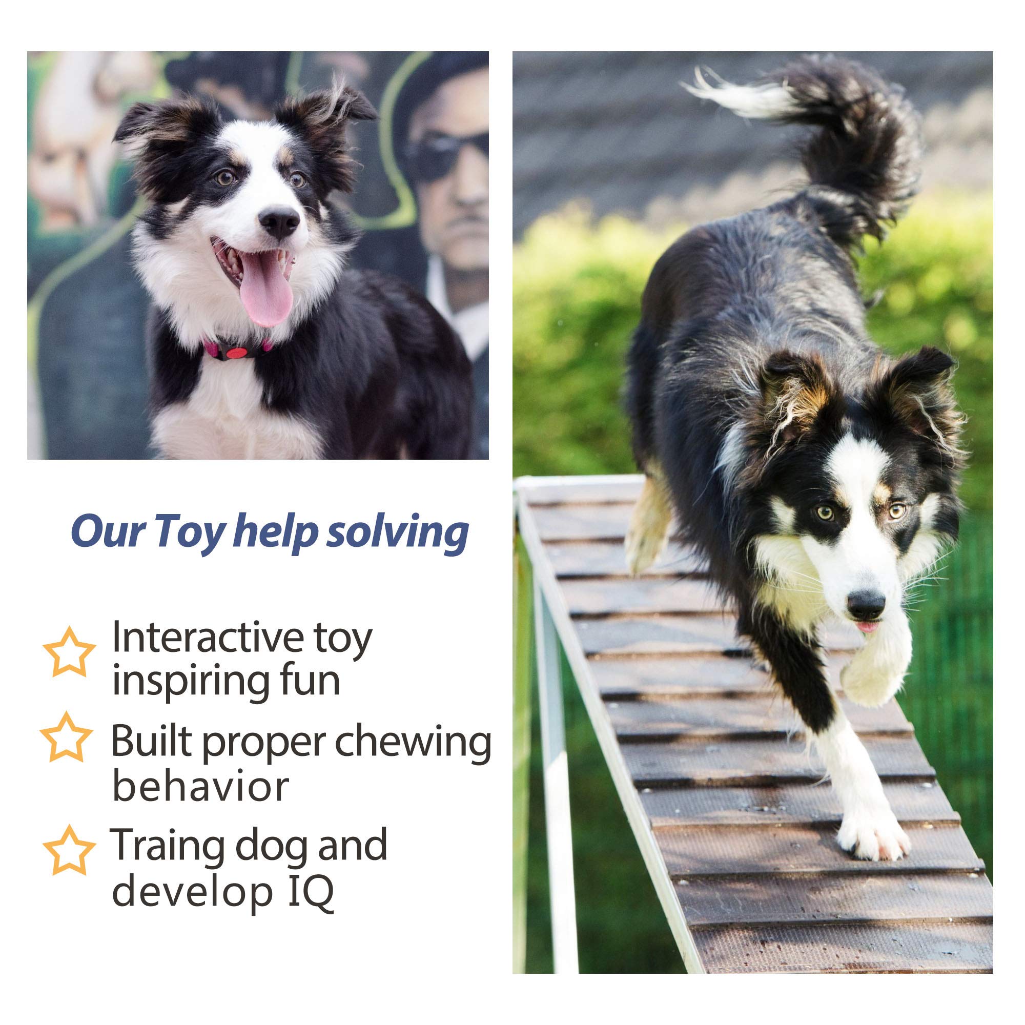 Dog Rope Toys 4 Pack, Puppy Teething Sturdy Cotton Chew Tug Indoor/Outdoor, Exercise Interactive Tug O'War Toys Set for Boredom Small-Meidum Dogs