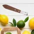 thumbnail image 4 of RENACLIPY 2Pcs Commercial Manual Juicer Stainless Steel Zester Tool for Kitchen Supplies Cooking, 4 of 7