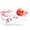 Cherry blossom and Koi Scene, variant on Cherry blossom and Koi Scene Funny Personalized License Plate Rust-proof Stainless Steel Metal License Plate Suitable For Men And Women 12.2" x 6.2"