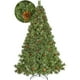 thumbnail image 1 of Arbol Navidad Escoces Jardimex Pino Navideño Punta Aguja Piñas 1.60m Agregar a favoritos, 1 of 9