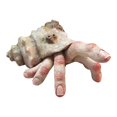 thumbnail image 2 of POINTERTECK WTN Modèle de Résine Réaliste Effrayant 1Pcs Fingercrab Bizarre Décoration & Pend, 2 of 6