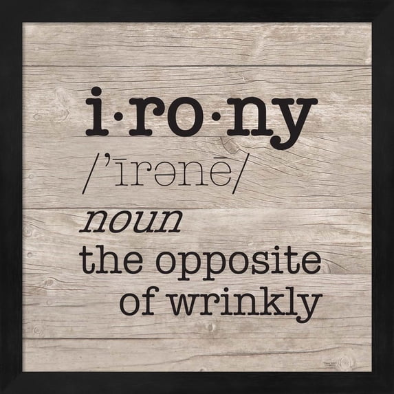 Great Art Now Laundry Room Humor I-Irony by Tara Reed, Framed Wall Art, 13.25W x 13.25H